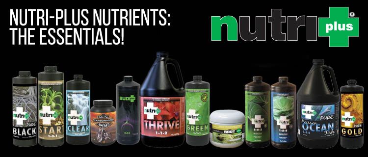 nutri plus nutrients the essentials