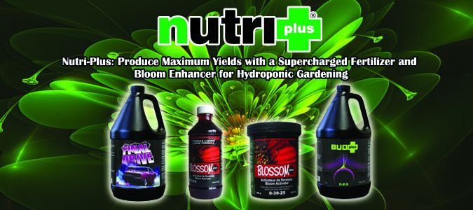 nutri-plus bloom enhancing