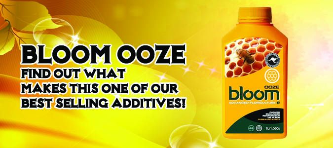 bloom ooze review