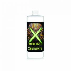 x nutrients amino blast 1 qt