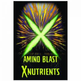 X Nutrients Amino Blast