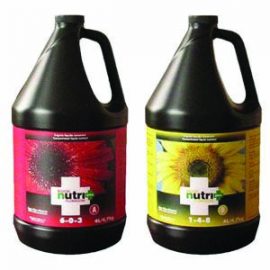 Nutri Plus Bloom 4 Liters Two Part