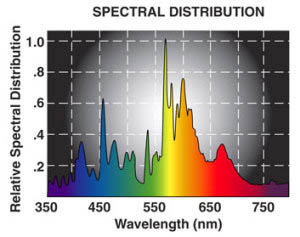 dual ams 1000 watt spectral chart