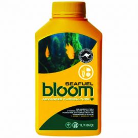 bloom seafuel