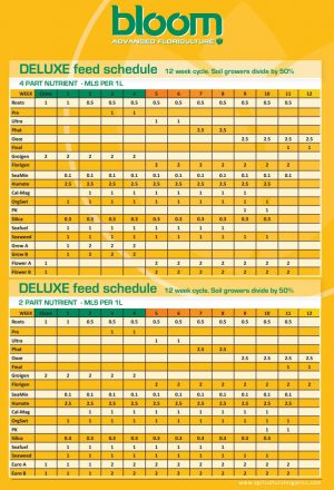 bloom yellow bottles feeding chart