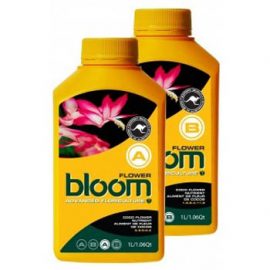 bloom flower a 25 liters