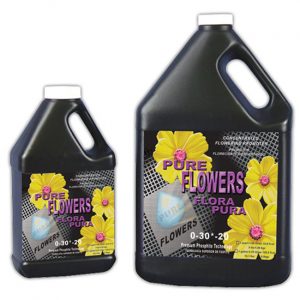 Nature’s Nectar Pure Flowers Quart