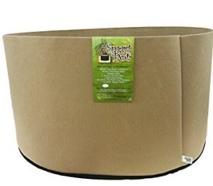 tan smart pot 65 gallon