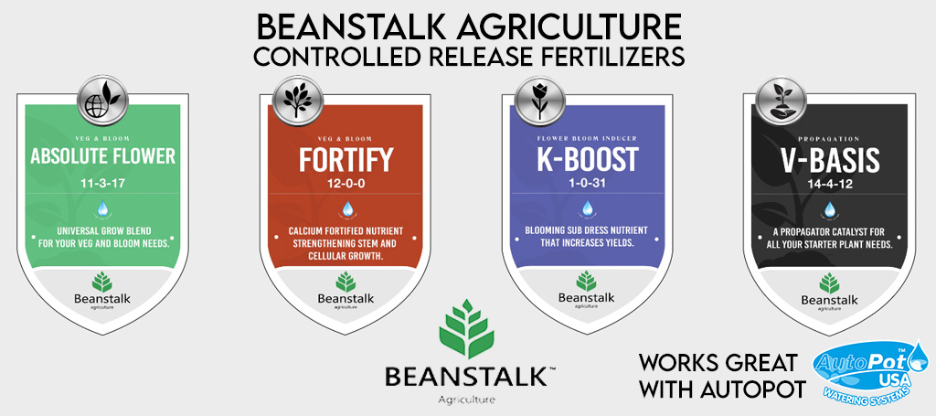 beanstalk