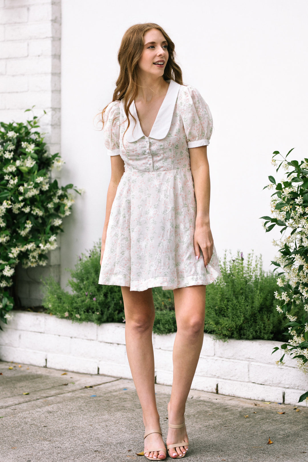 Chriselle Collared Mini Dress